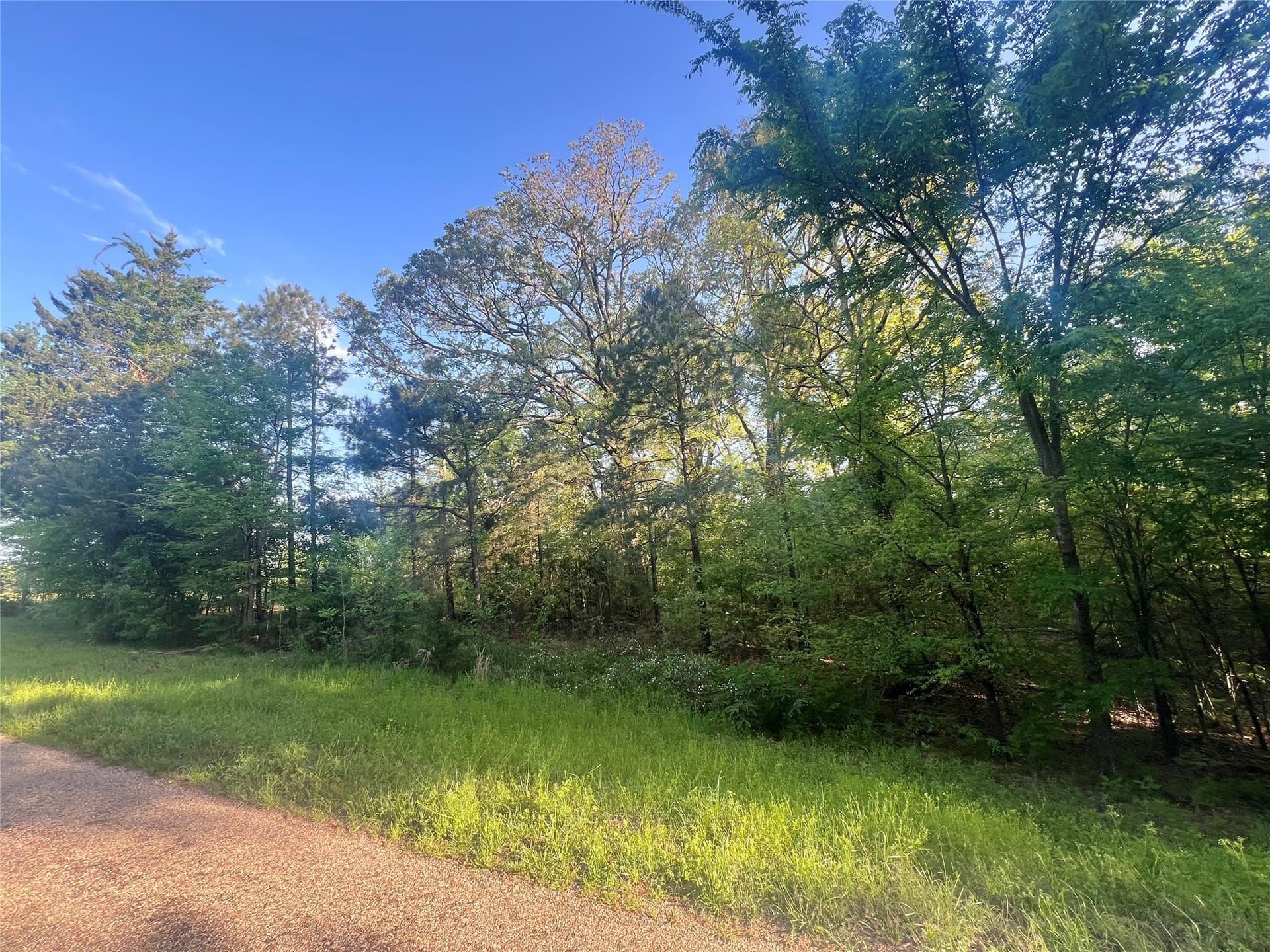 2.6 acres in Titus County gallery image 3