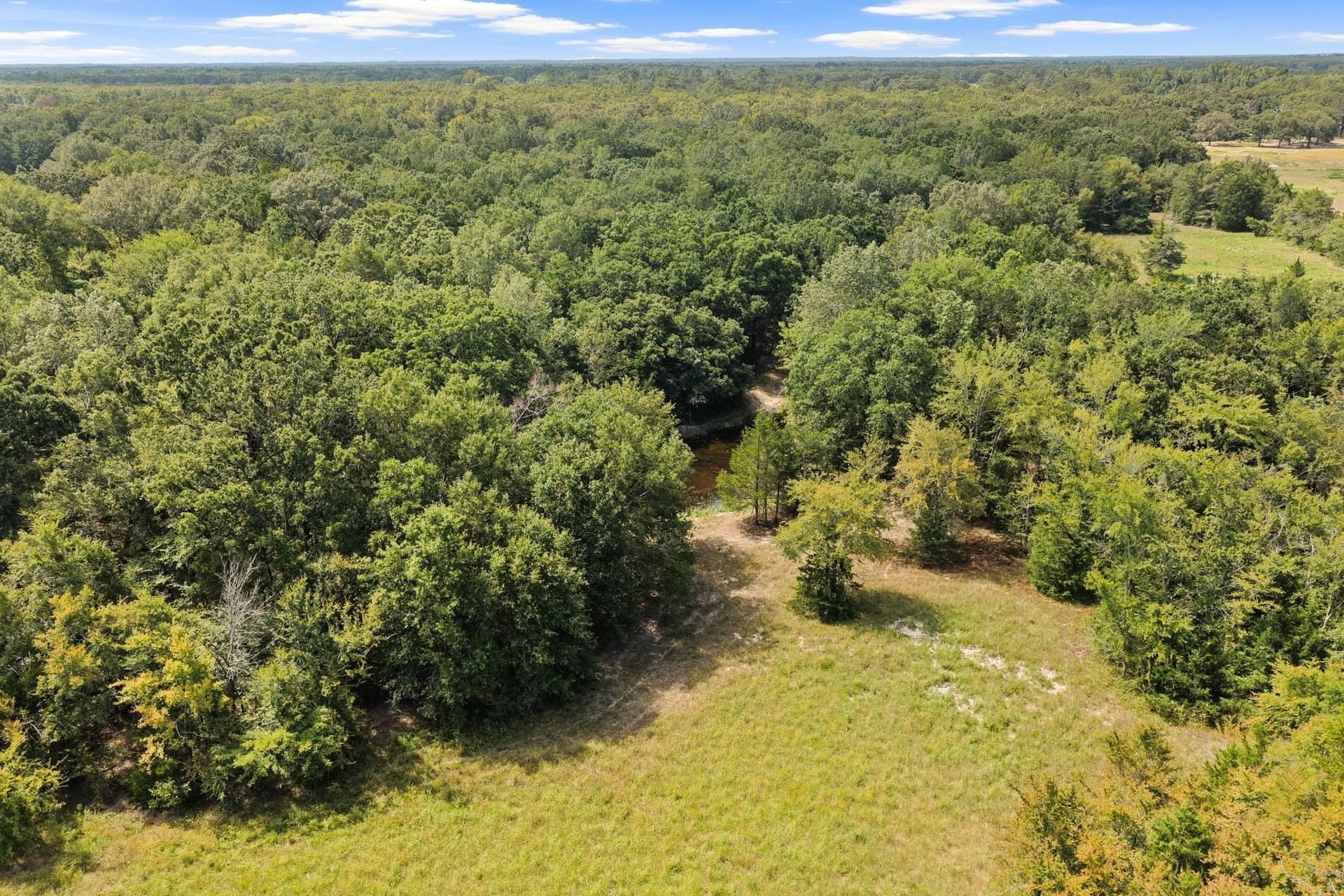 41.58 acres in Franklin (TX) County - photo 32