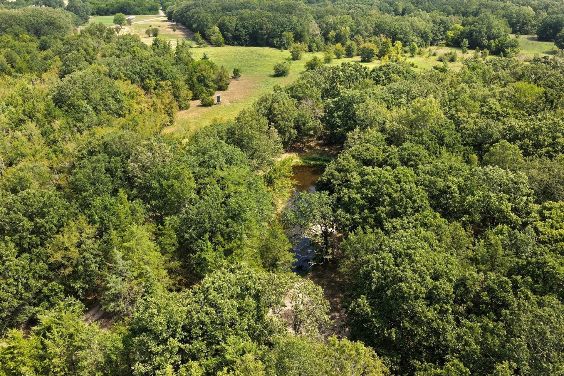 41.58 acres in Franklin (TX) County - photo 30