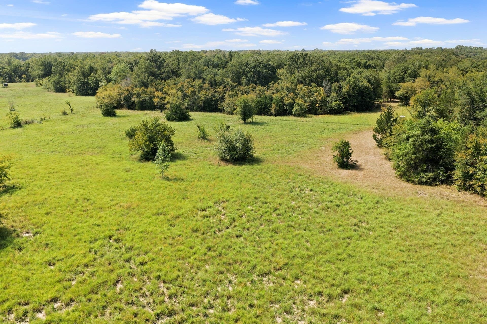 41.58 acres in Franklin (TX) County - photo 29