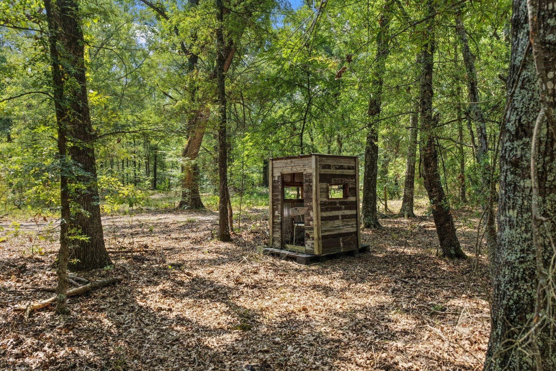 41.58 acres in Franklin (TX) County - photo 28