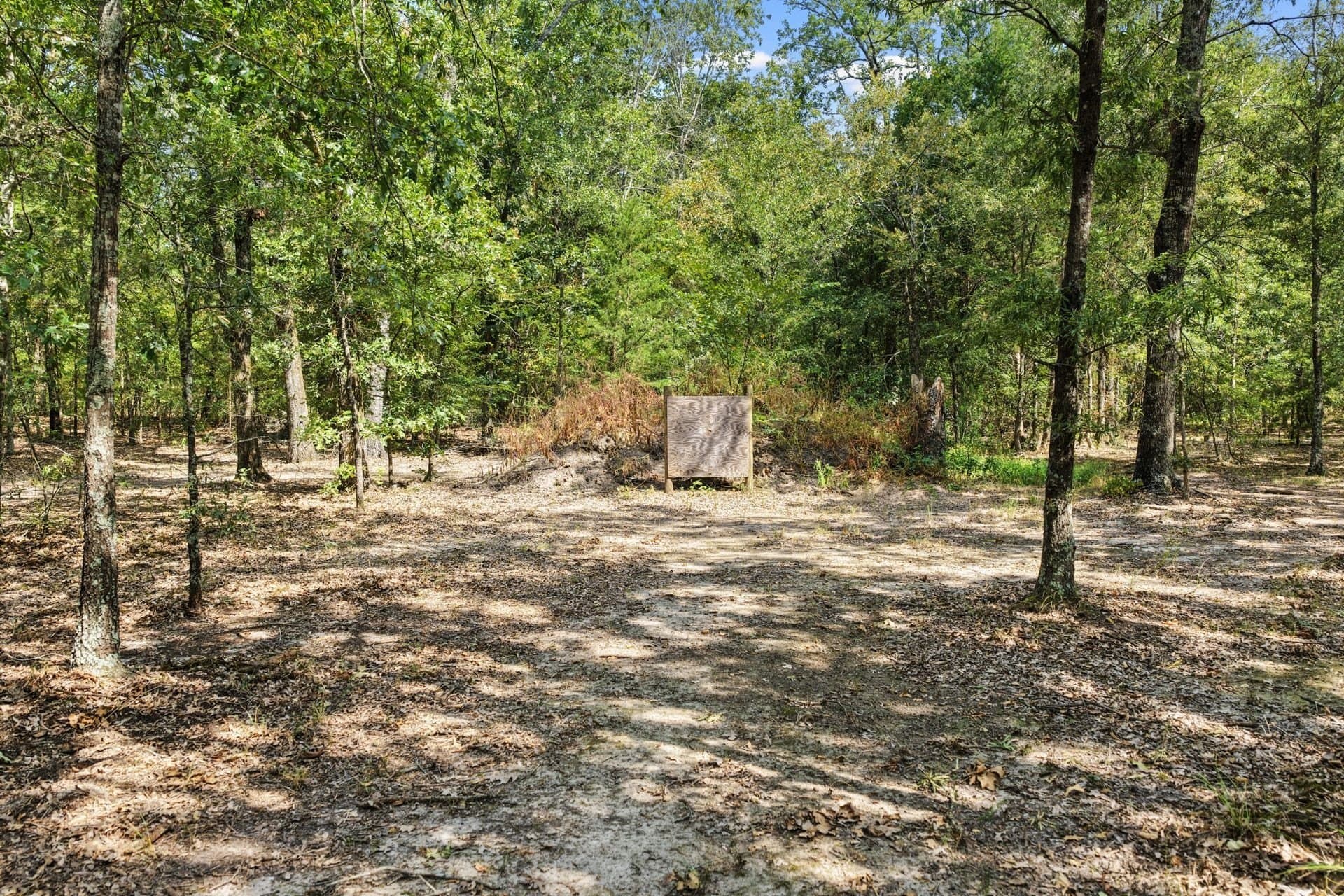 41.58 acres in Franklin (TX) County - photo 27