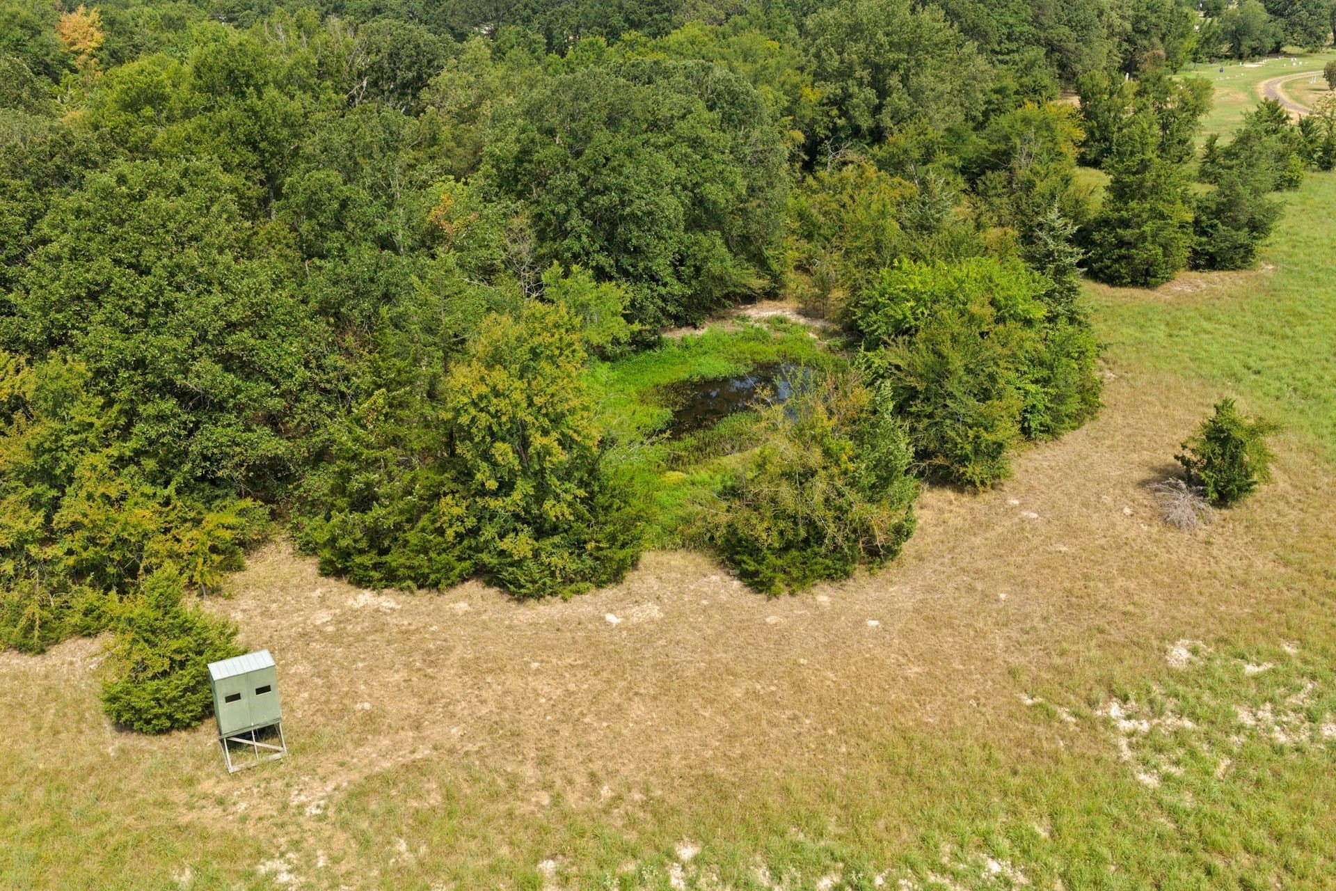 41.58 acres in Franklin (TX) County - photo 33