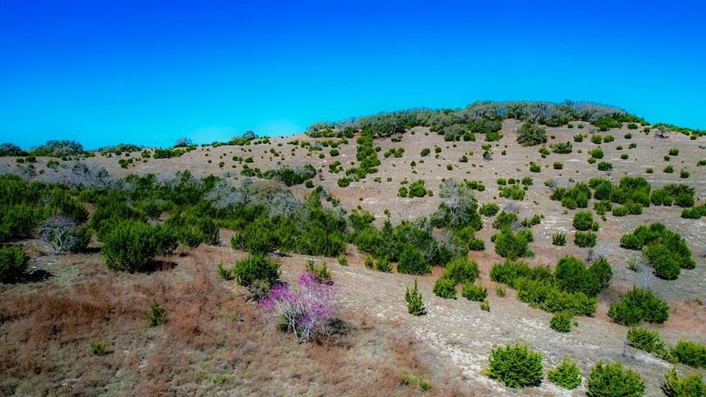6.09 acres in Blanco County gallery image 3