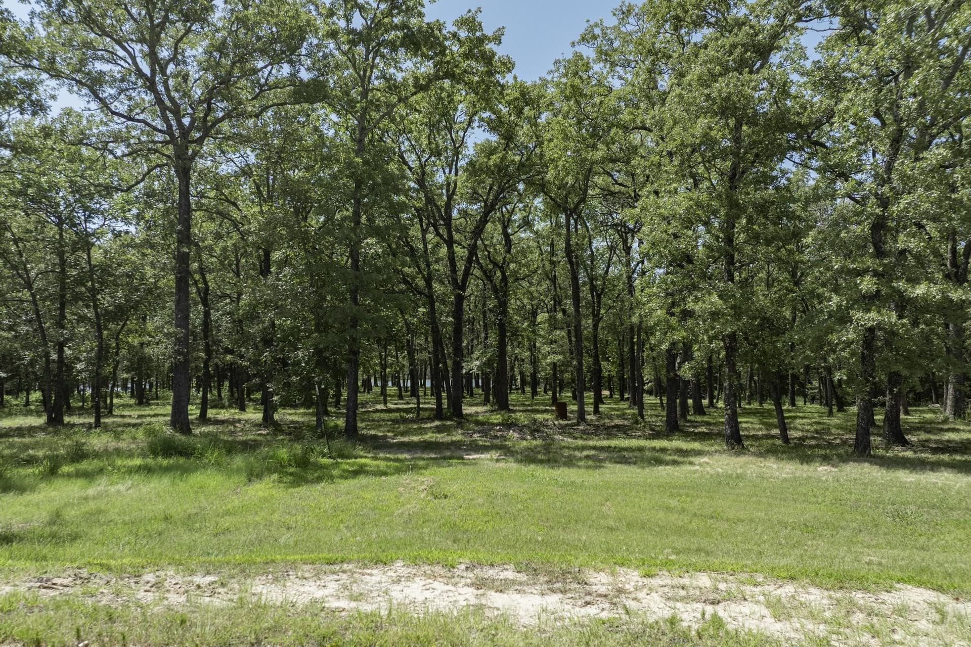 1 acres in Hunt County - photo 16