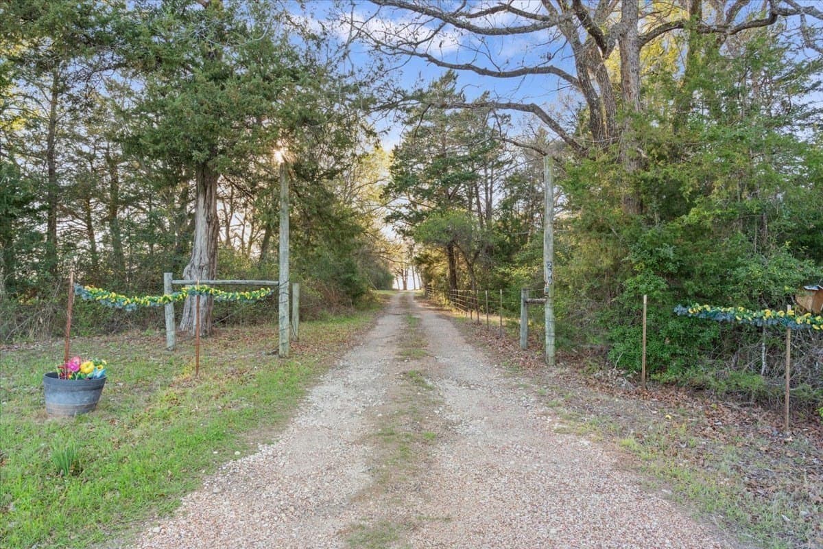 18.77 acres in Freestone County - photo 4