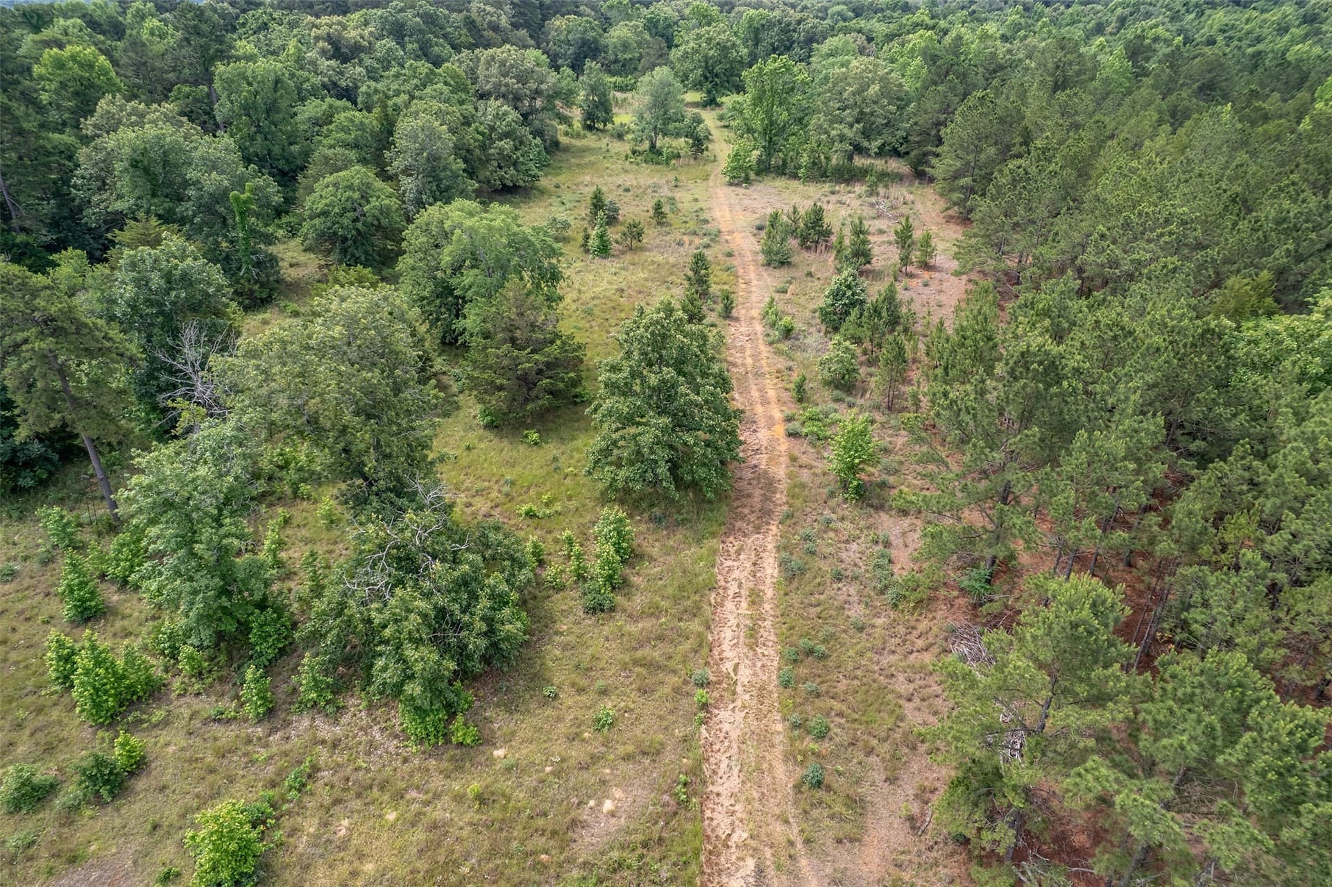 16.63 acres in Van Zandt County - photo 5