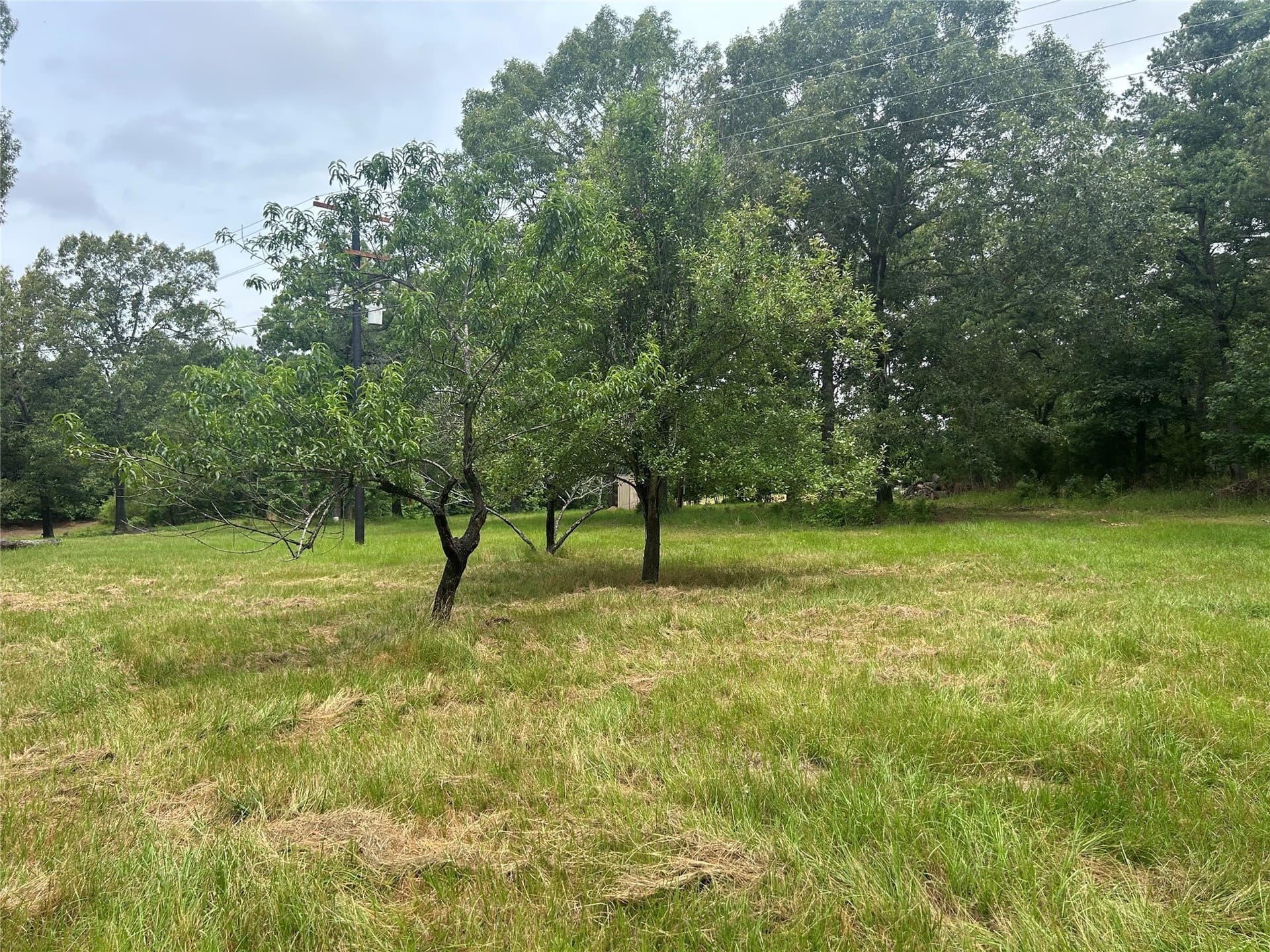16.63 acres in Van Zandt County - photo 35
