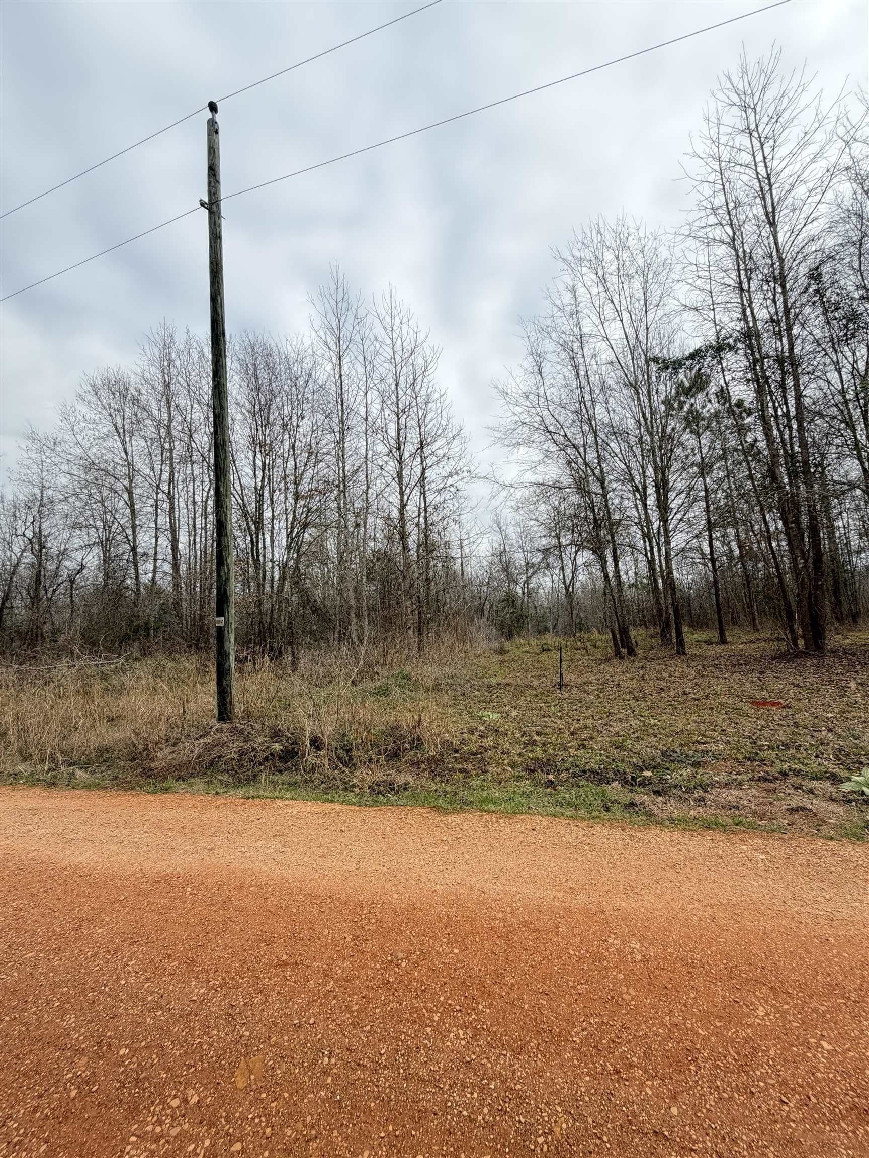 1.25 acres in Texas County