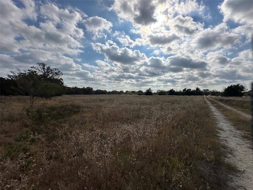 90 acres in Limestone County gallery image 4
