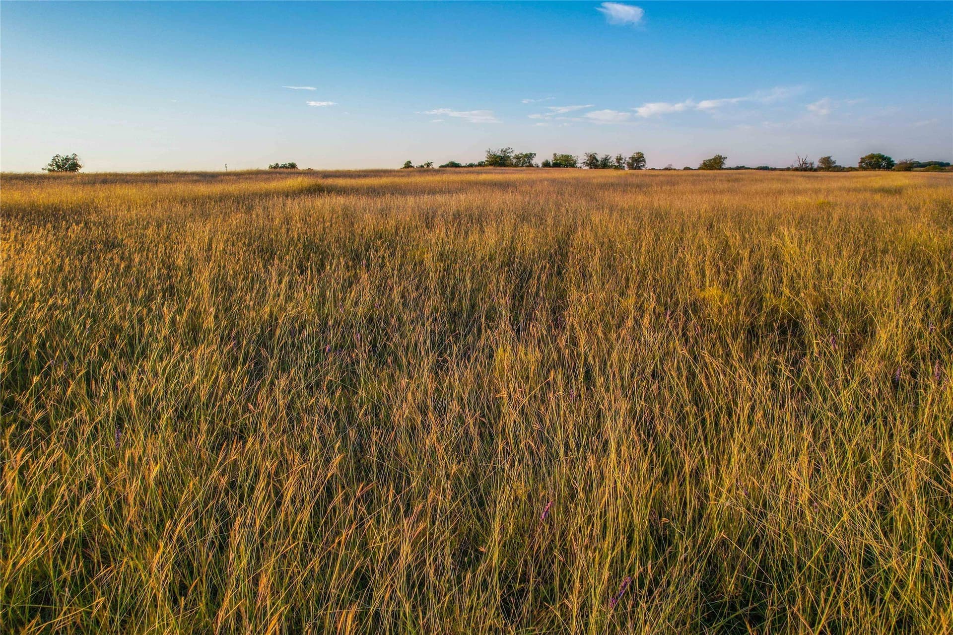 88 acres in Coryell County - photo 32