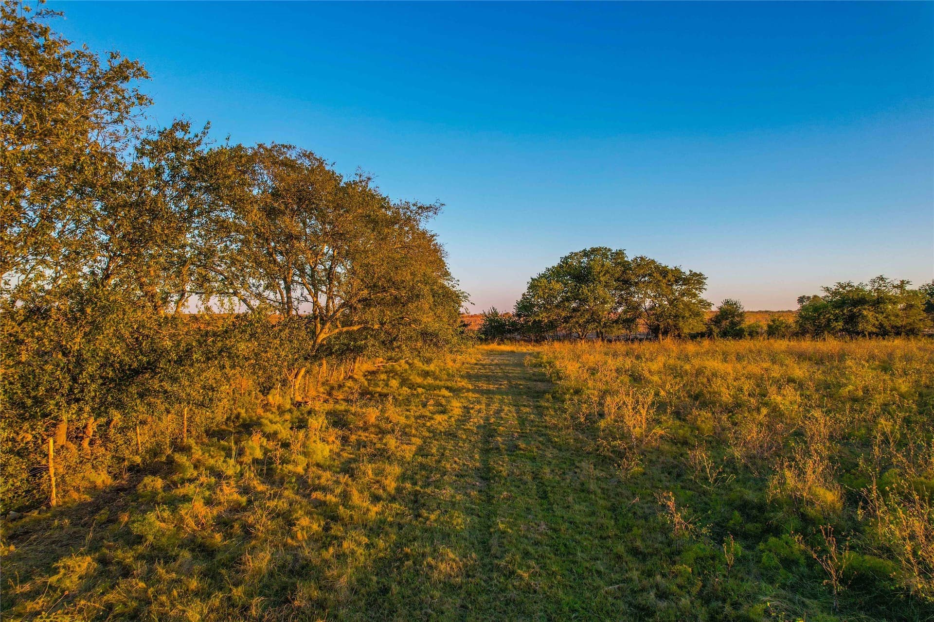 88 acres in Coryell County - photo 8