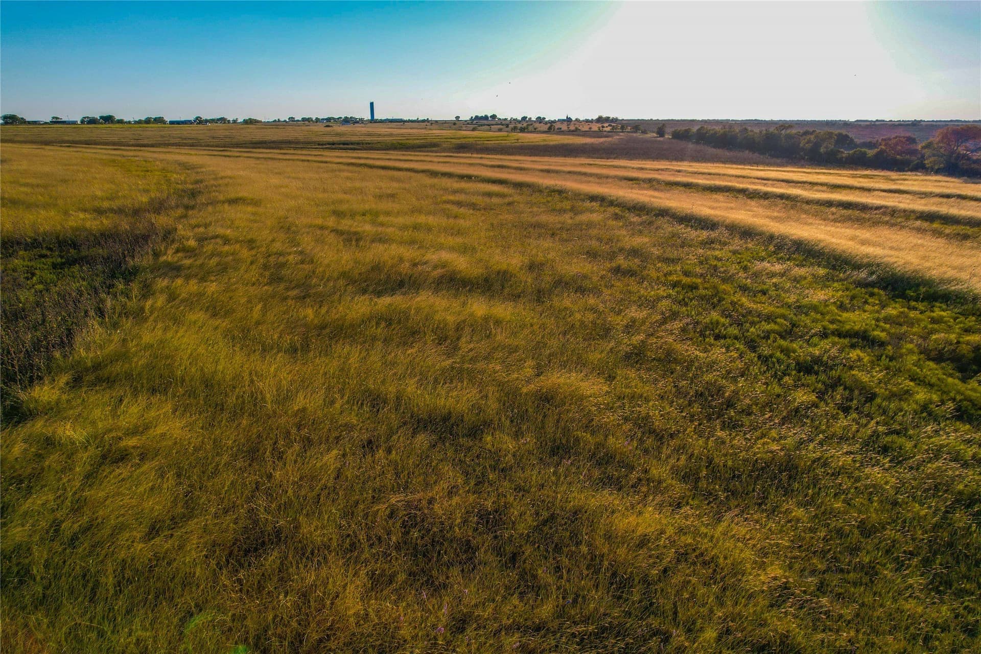 88 acres in Coryell County - photo 10