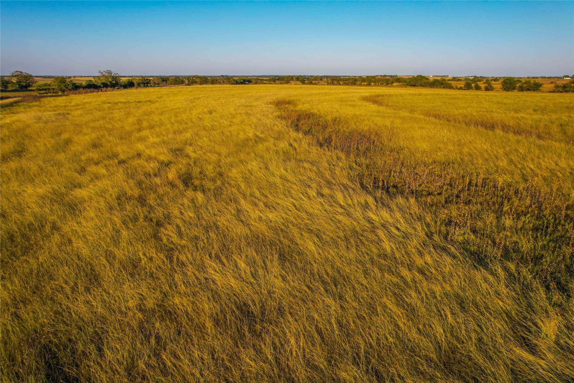 88 acres in Coryell County - photo 16