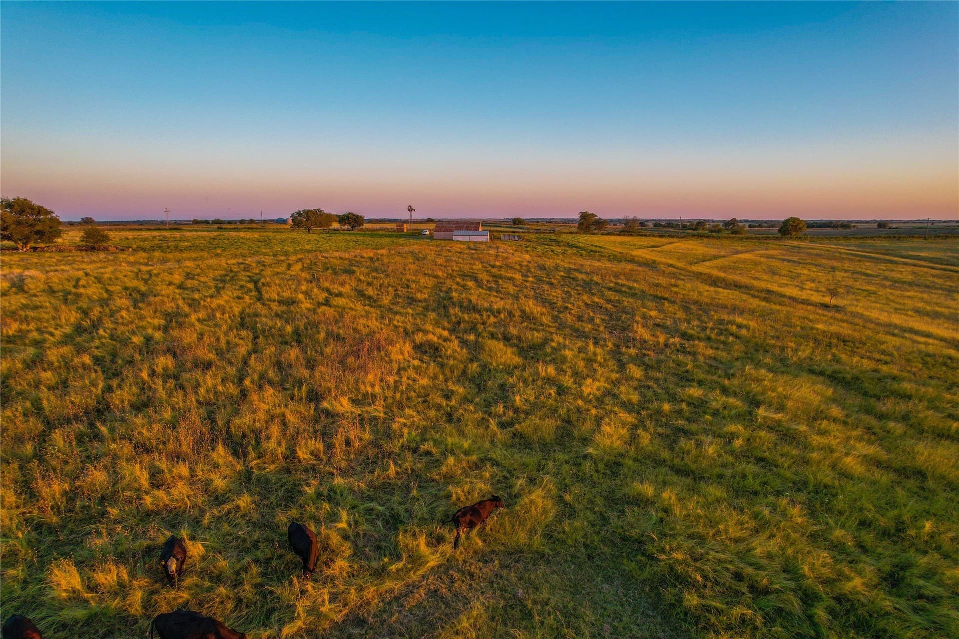 88 acres in Coryell County - photo 13