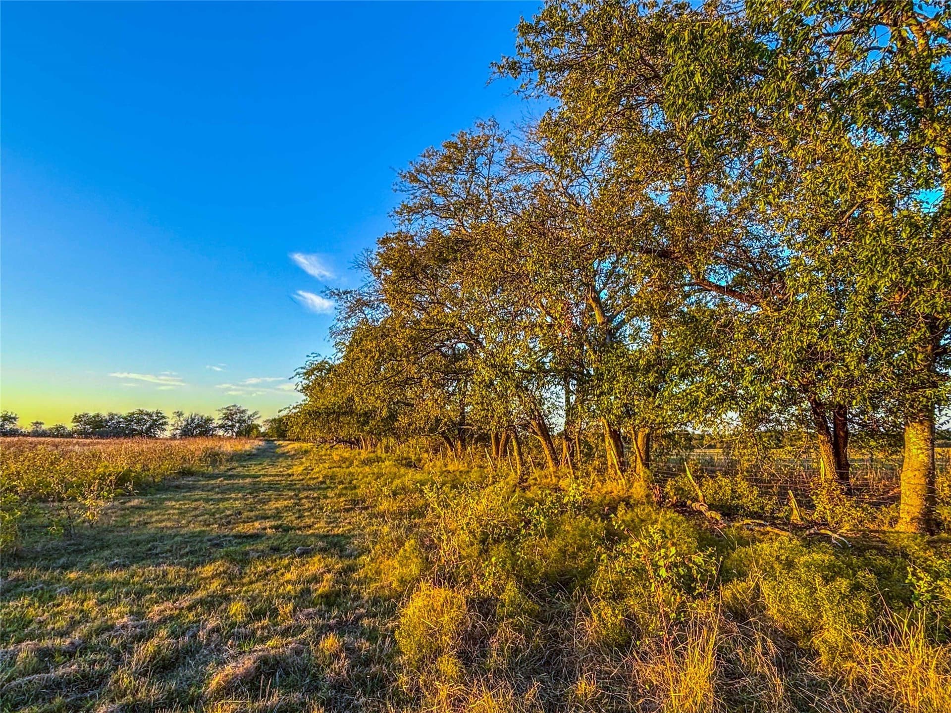 88 acres in Coryell County - photo 33