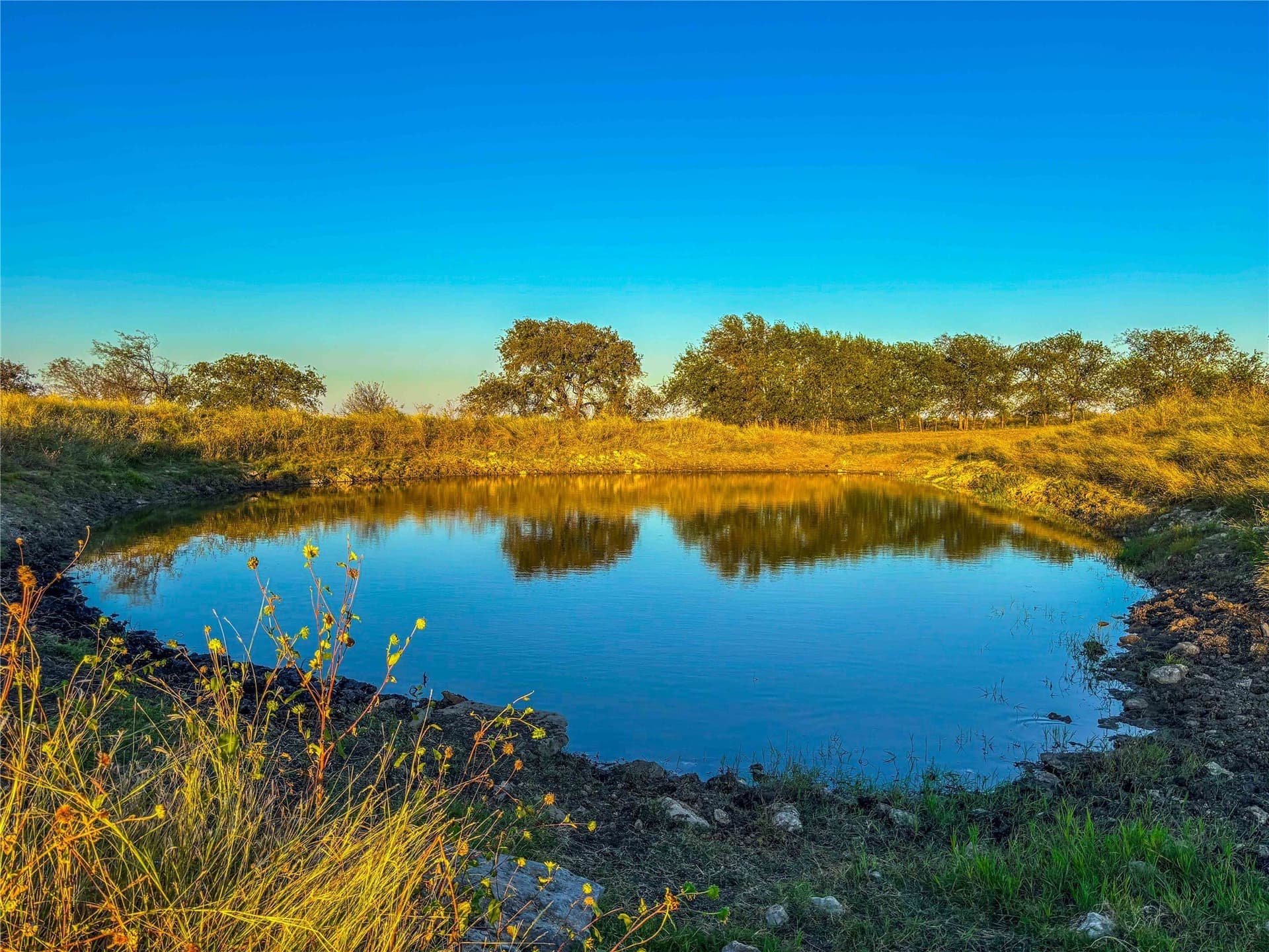 88 acres in Coryell County gallery image 4
