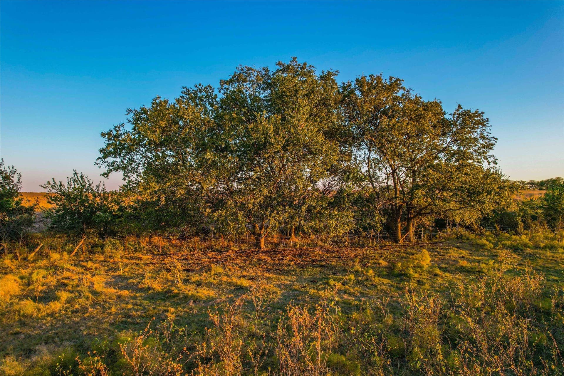 88 acres in Coryell County - photo 34