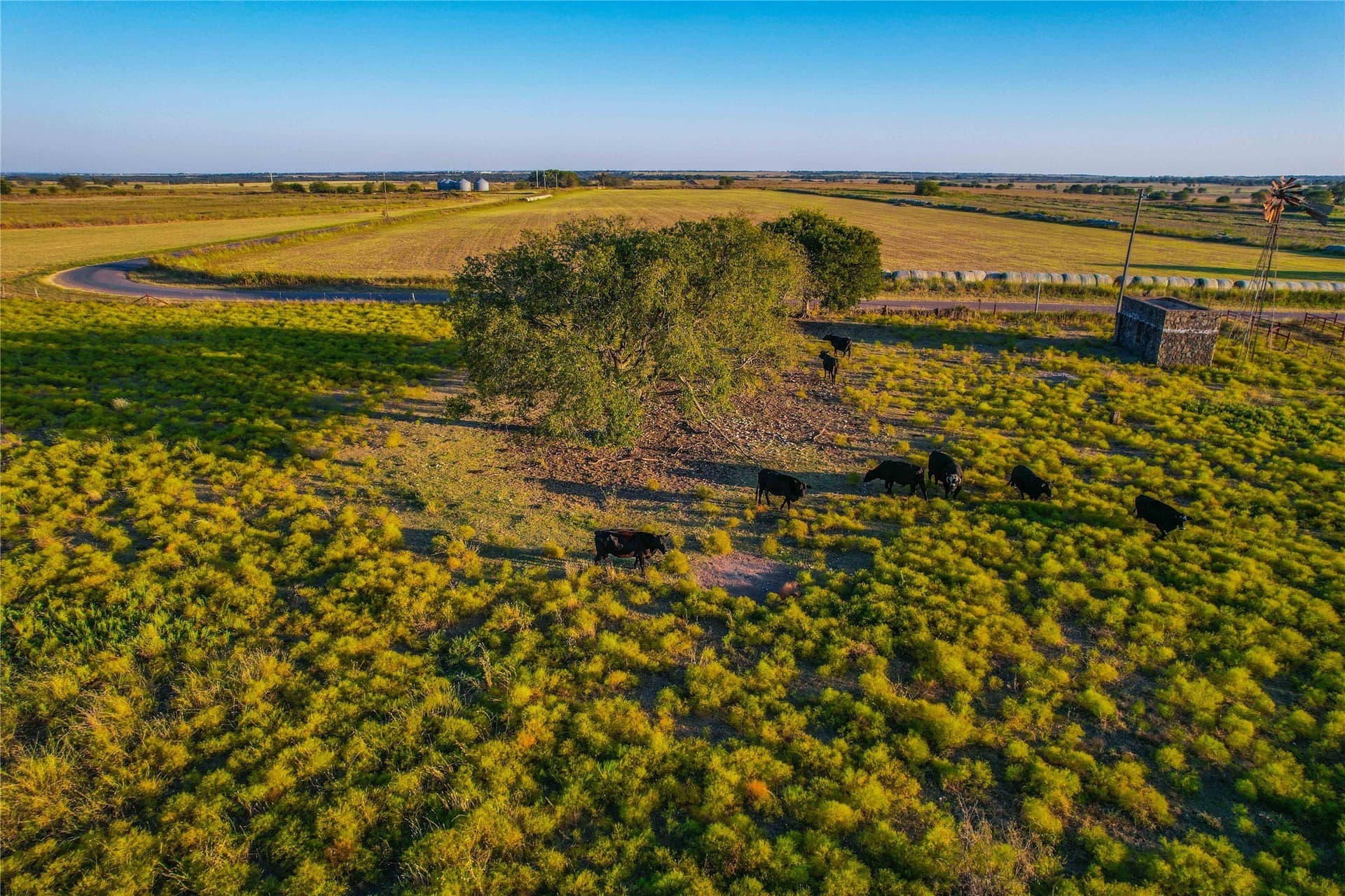 88 acres in Coryell County - photo 30