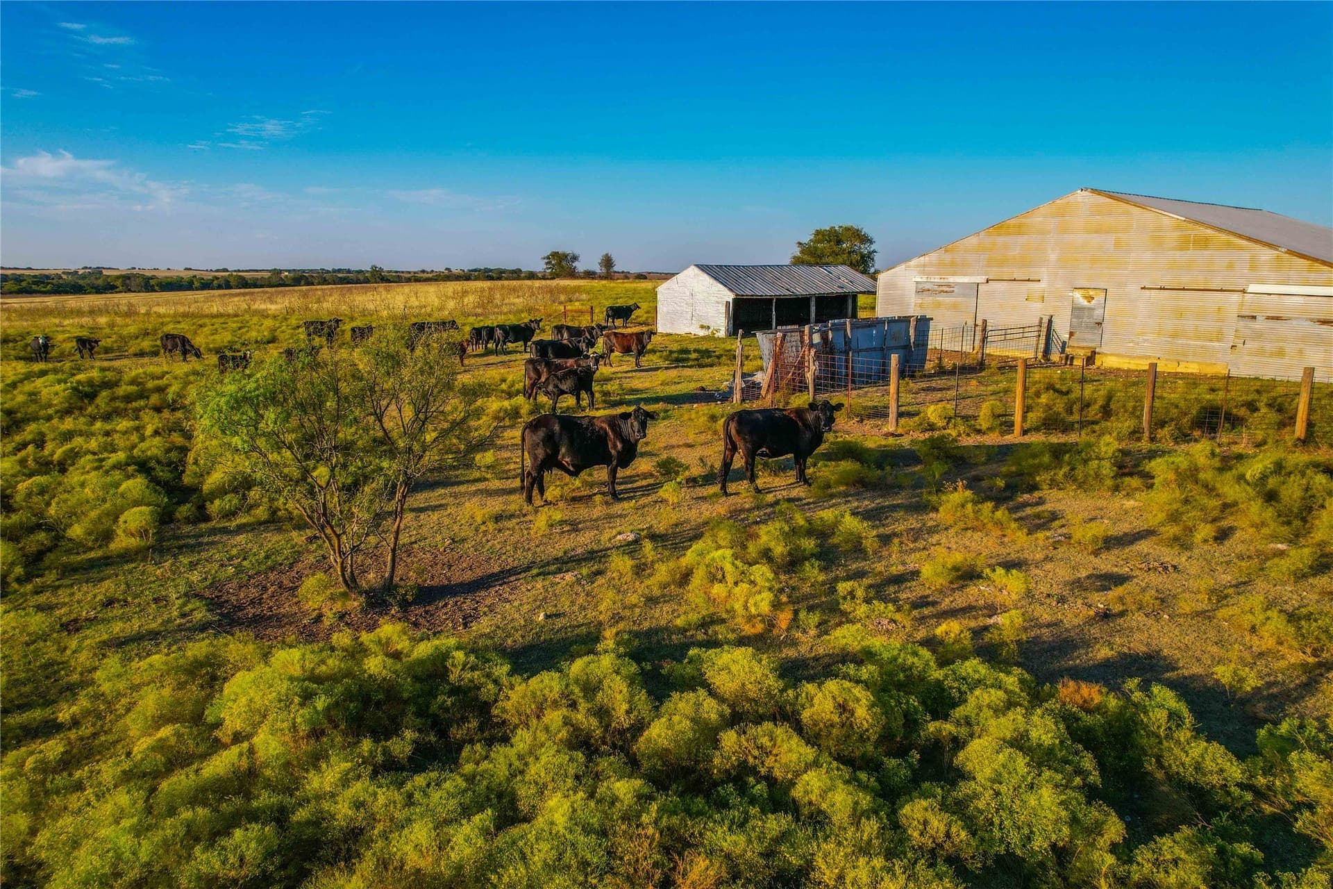 88 acres in Coryell County - photo 17