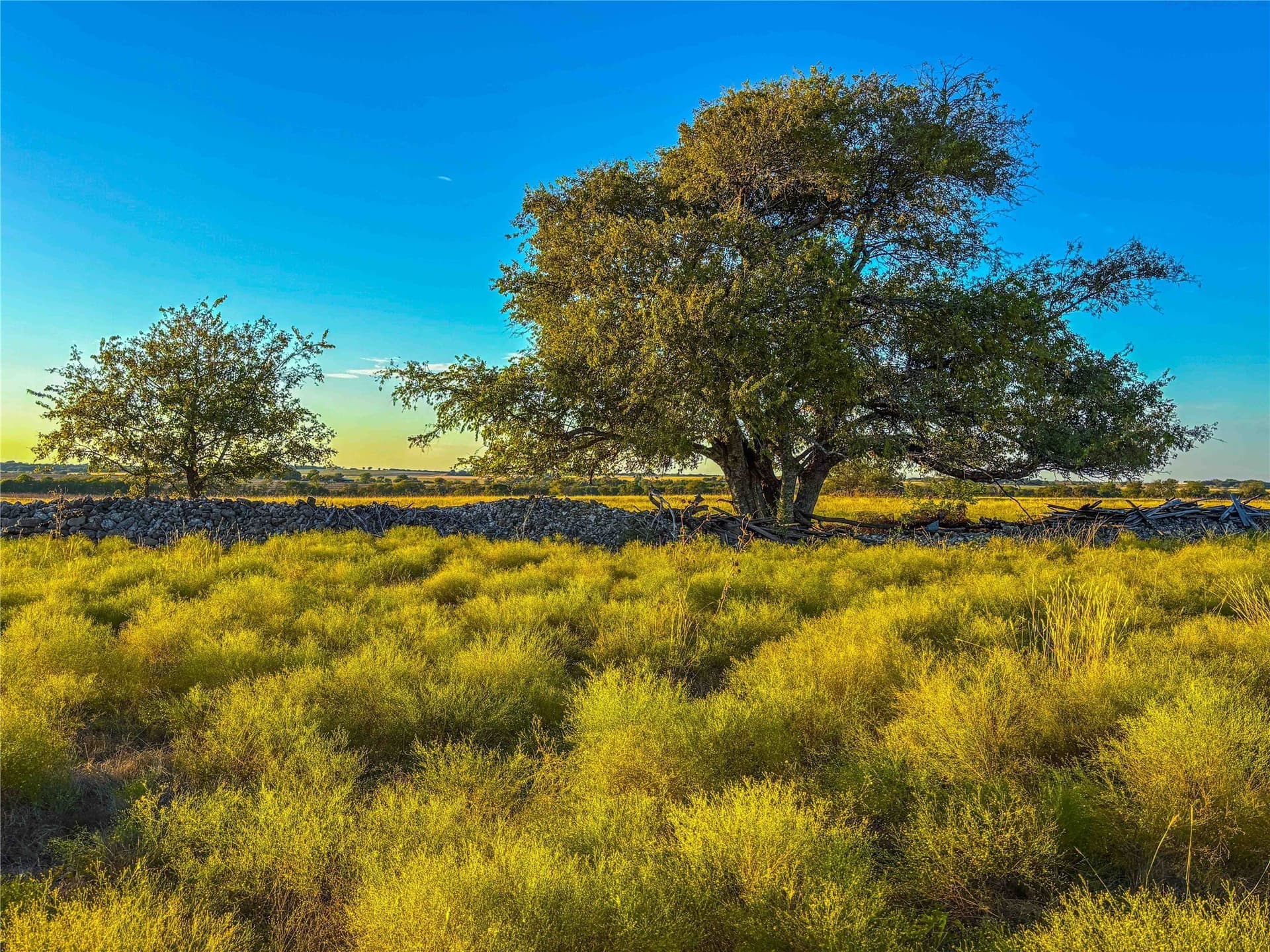 88 acres in Coryell County - photo 7