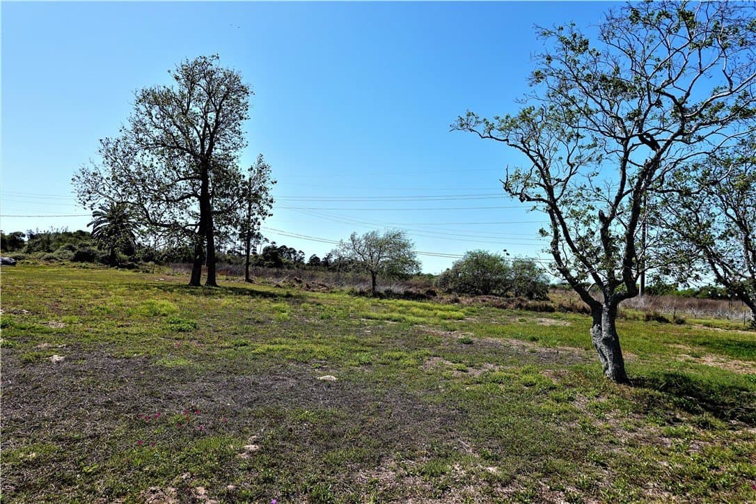 0.2 acres in San Patricio County - photo 4