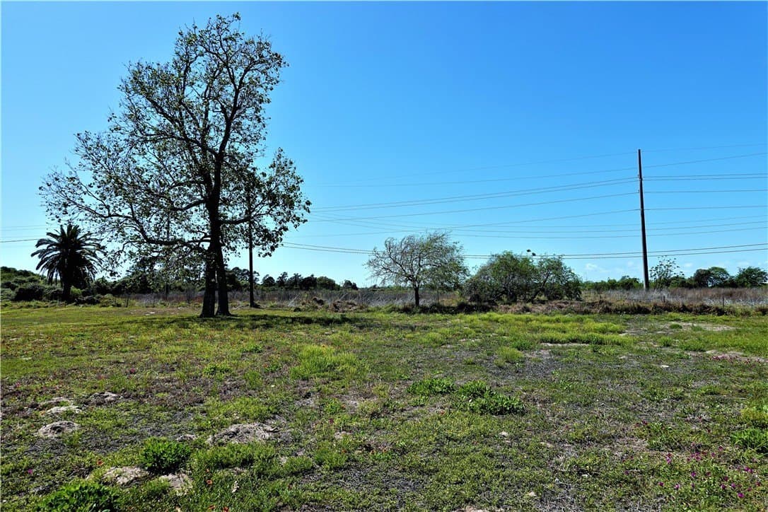 0.2 acres in San Patricio County - photo 10