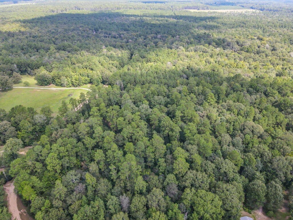 25.17 acres in Texas County - photo 23