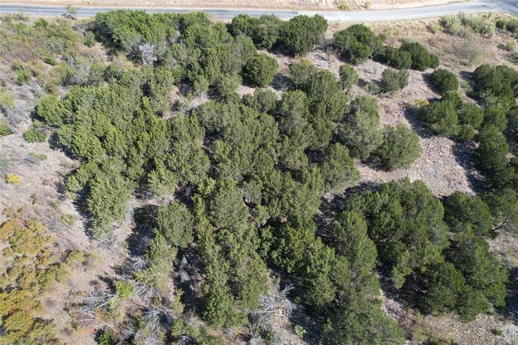1.01 acres in Palo Pinto County gallery image 2