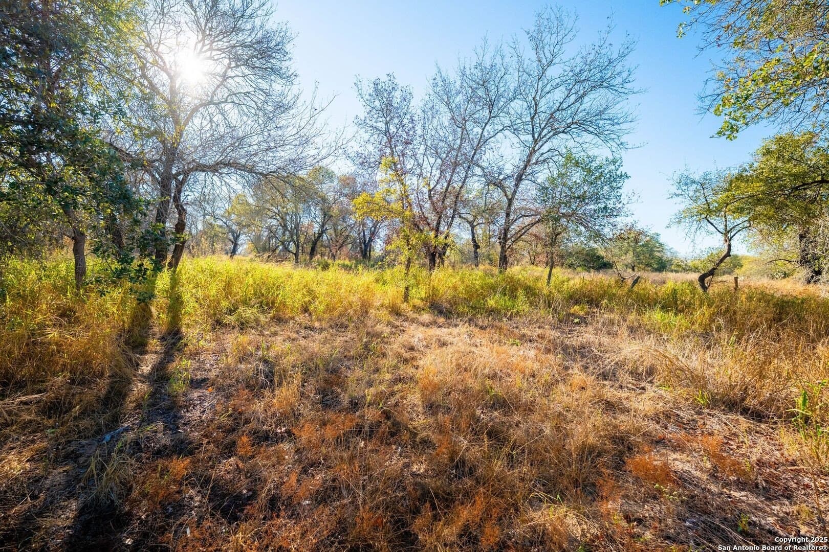2.44 acres in Bexar County gallery image 4