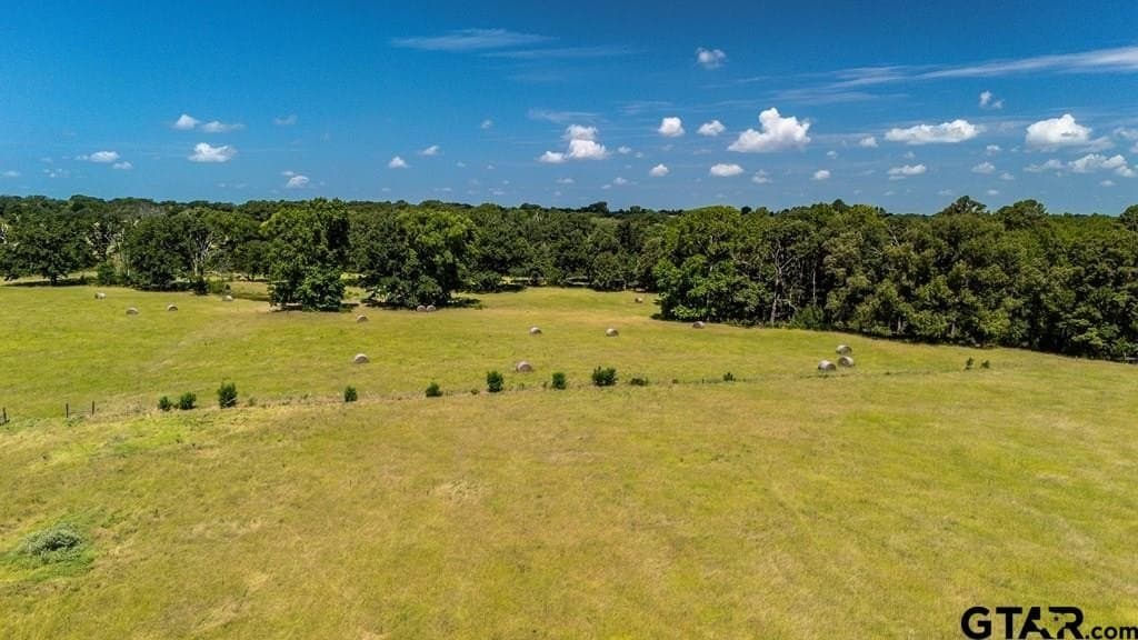 56.56 acres in Henderson County gallery image 3
