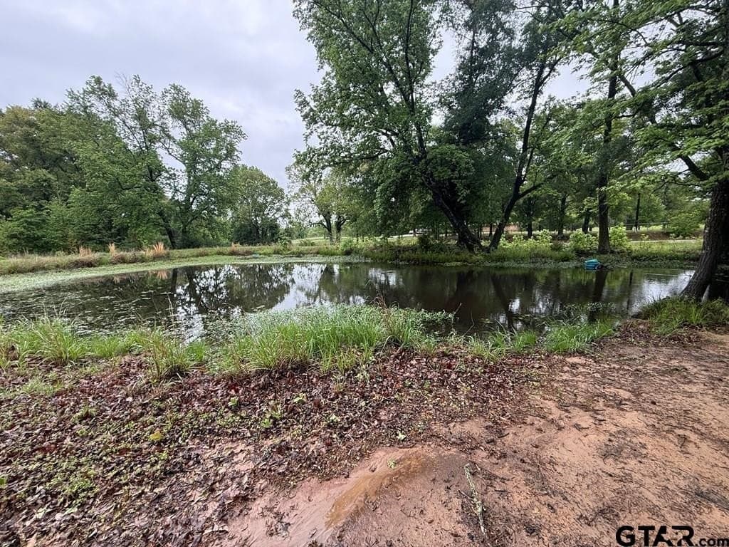 56.56 acres in Henderson County - photo 26