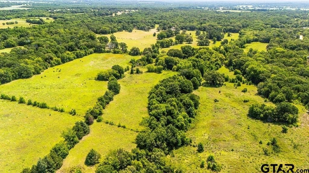 56.56 acres in Henderson County - photo 8