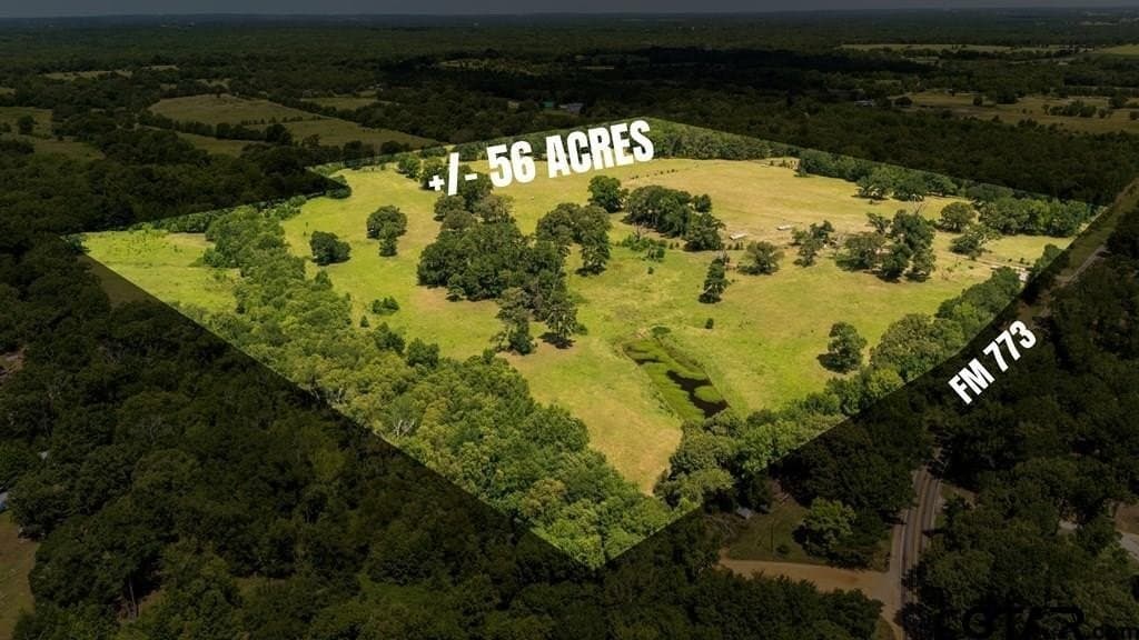 56.56 acres in Henderson County - photo 19