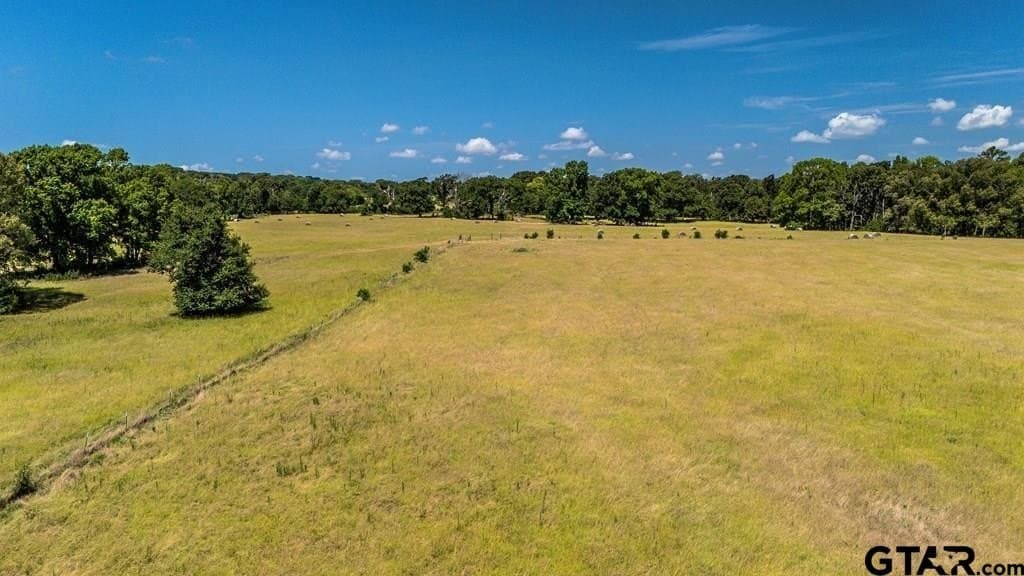 56.56 acres in Henderson County - photo 11