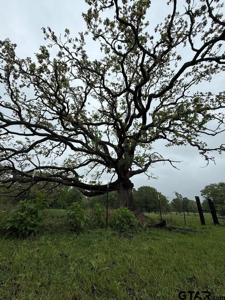 56.56 acres in Henderson County - photo 27