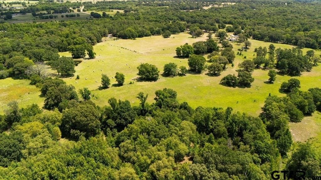 56.56 acres in Henderson County - photo 20