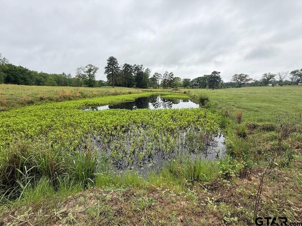 56.56 acres in Henderson County - photo 25