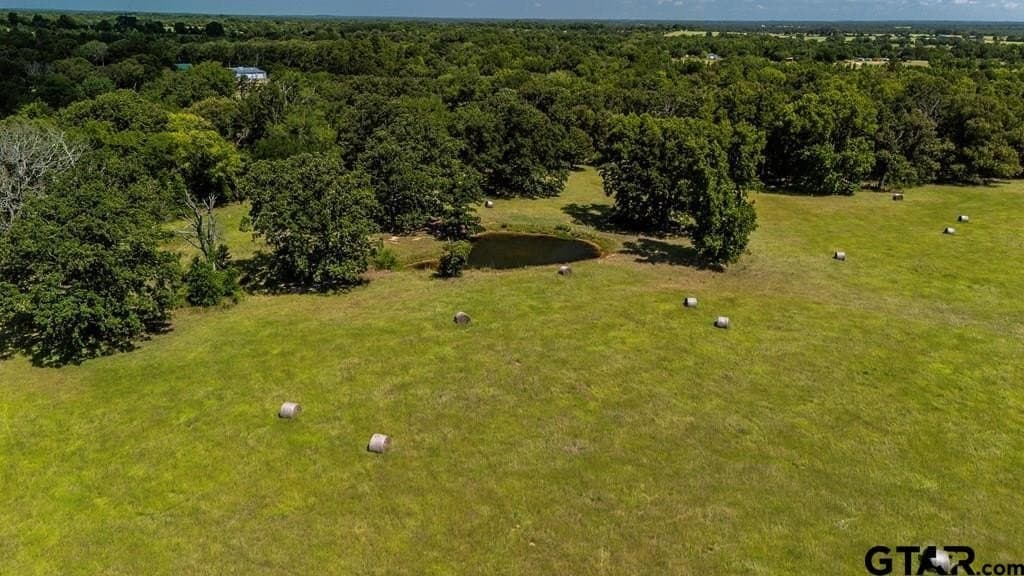 56.56 acres in Henderson County featured view