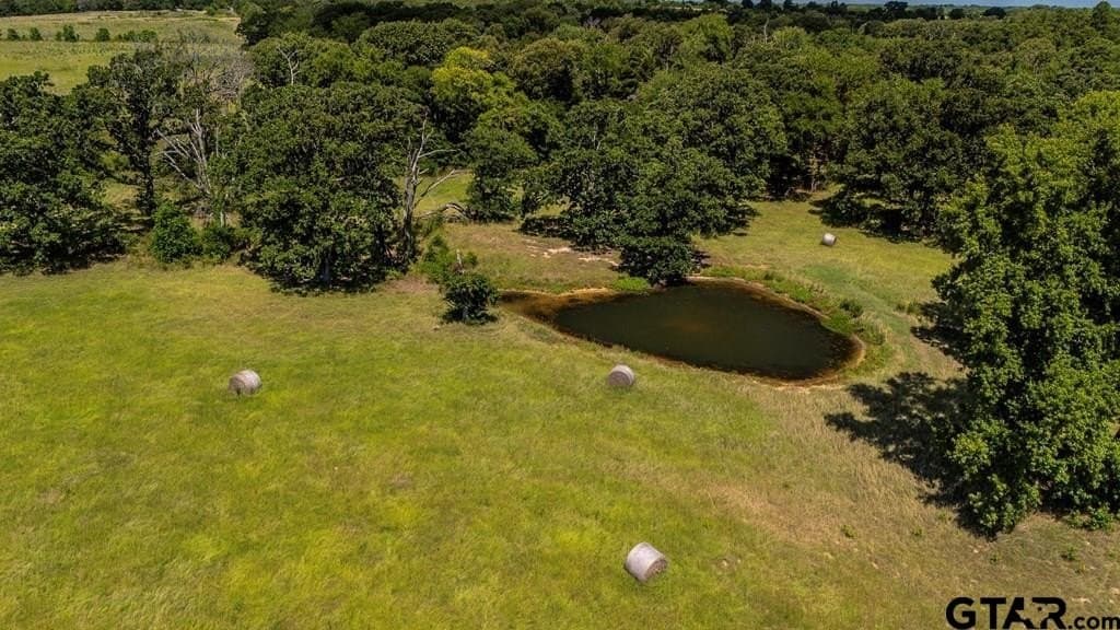 56.56 acres in Henderson County gallery image 4