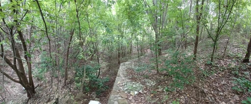 0.72 acres in Dallas County gallery image 2