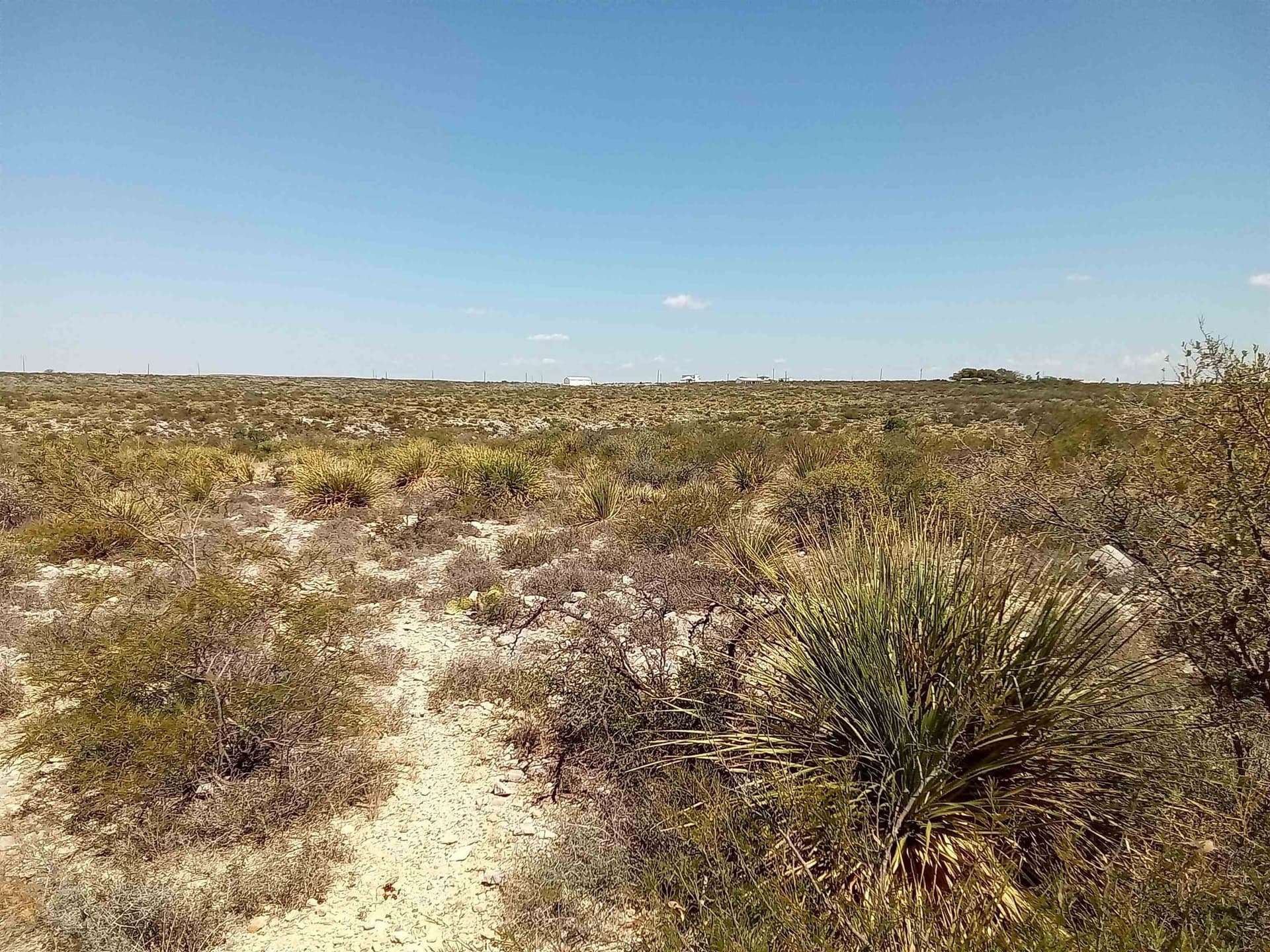 12.71 acres in Val Verde County featured view