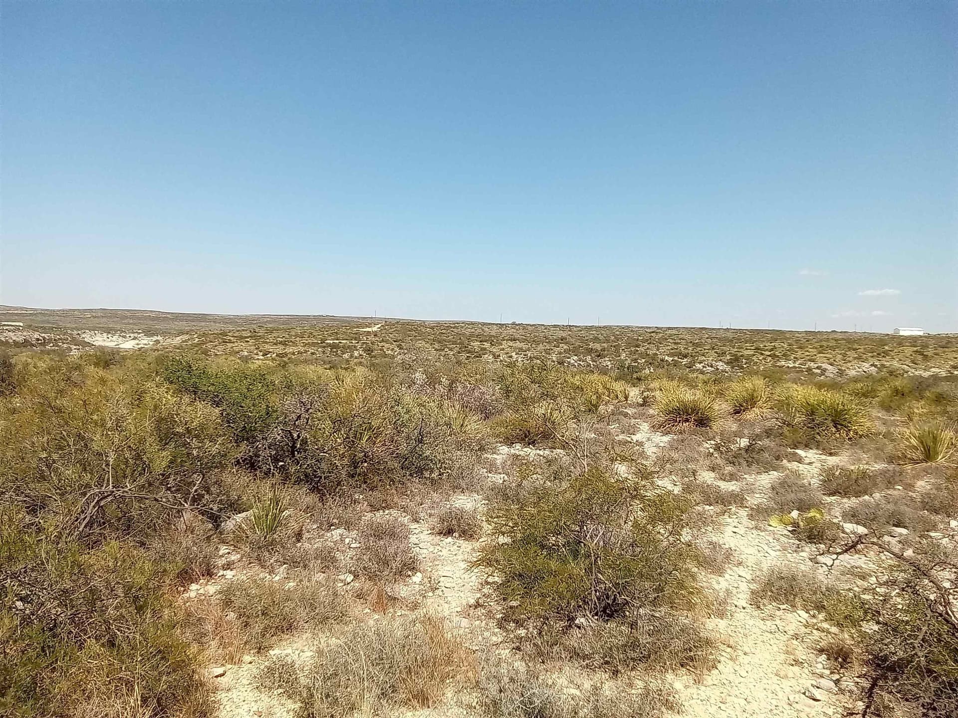 12.71 acres in Val Verde County gallery image 4