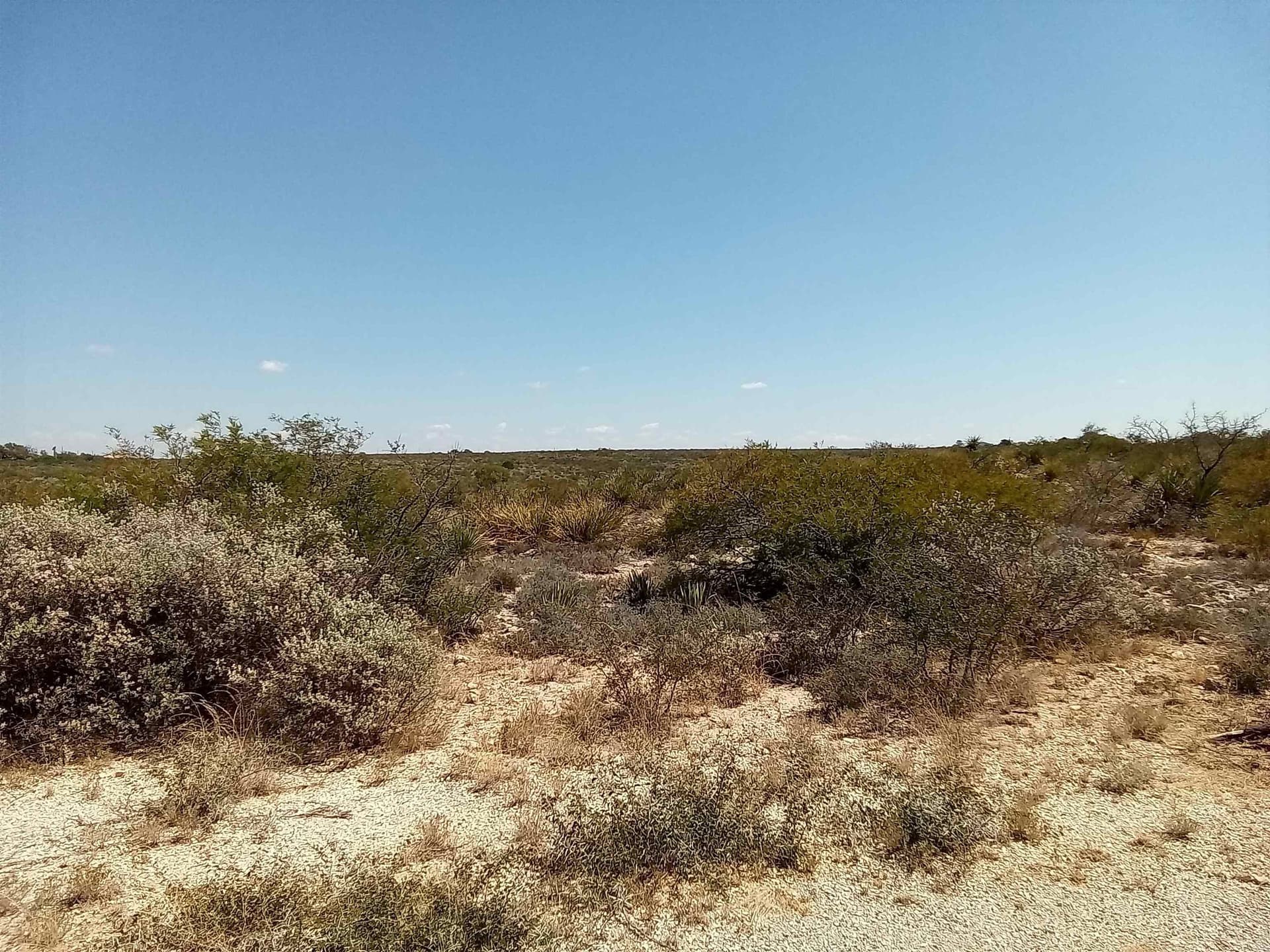 12.71 acres in Val Verde County gallery image 3