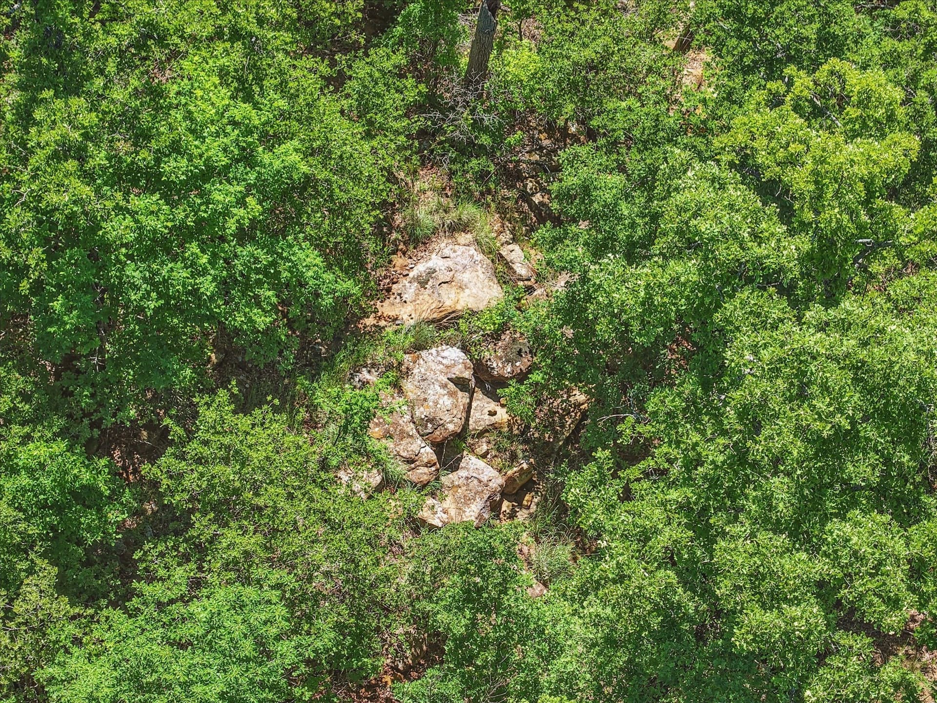 1.01 acres in Wise County featured view