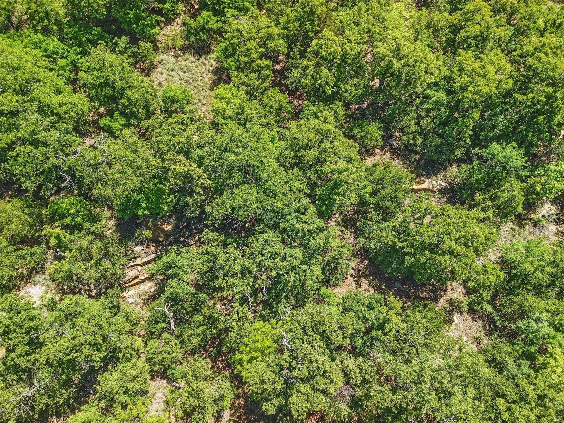 1.01 acres in Wise County - photo 6