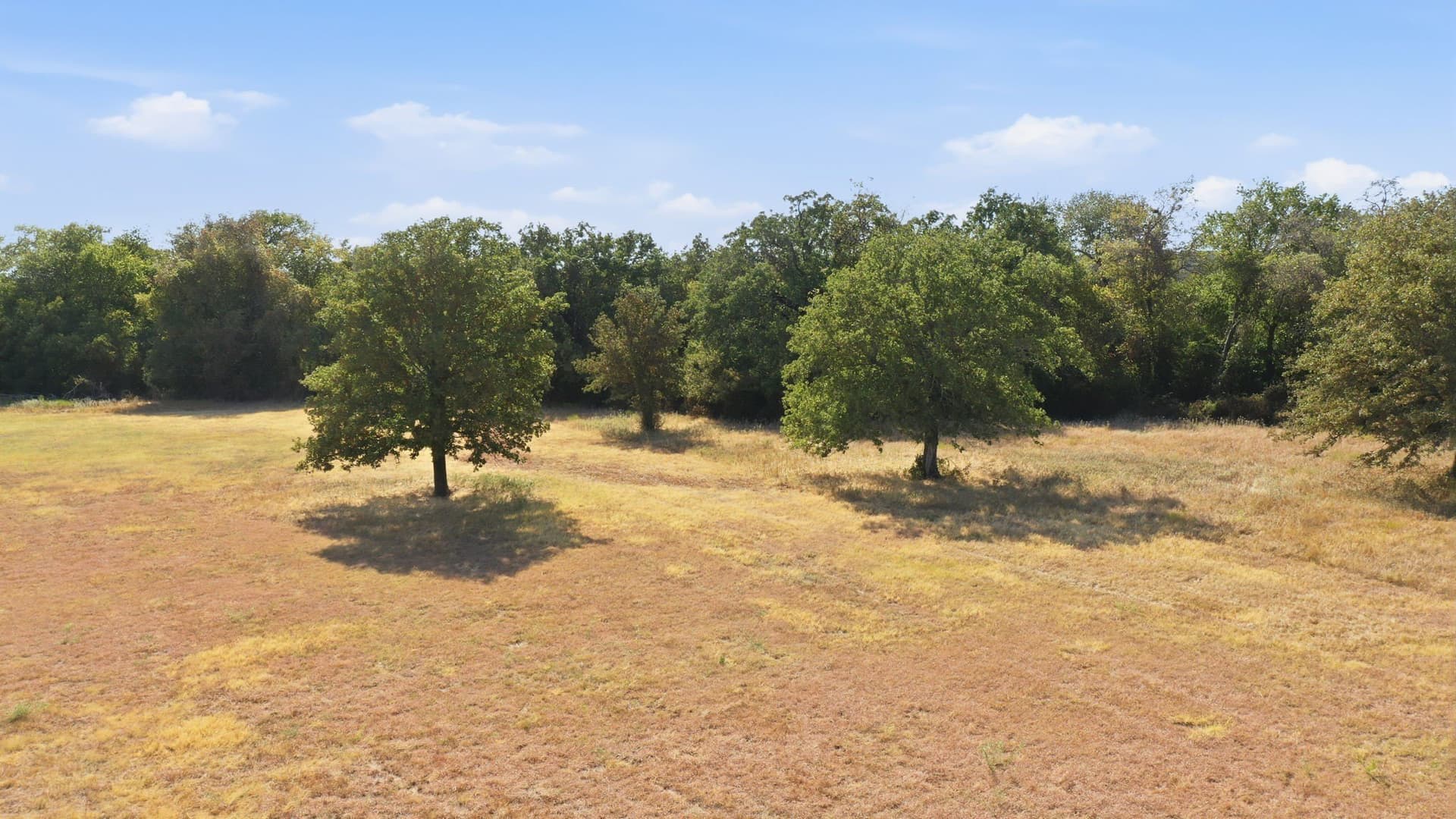 36 acres in Bosque County - photo 8