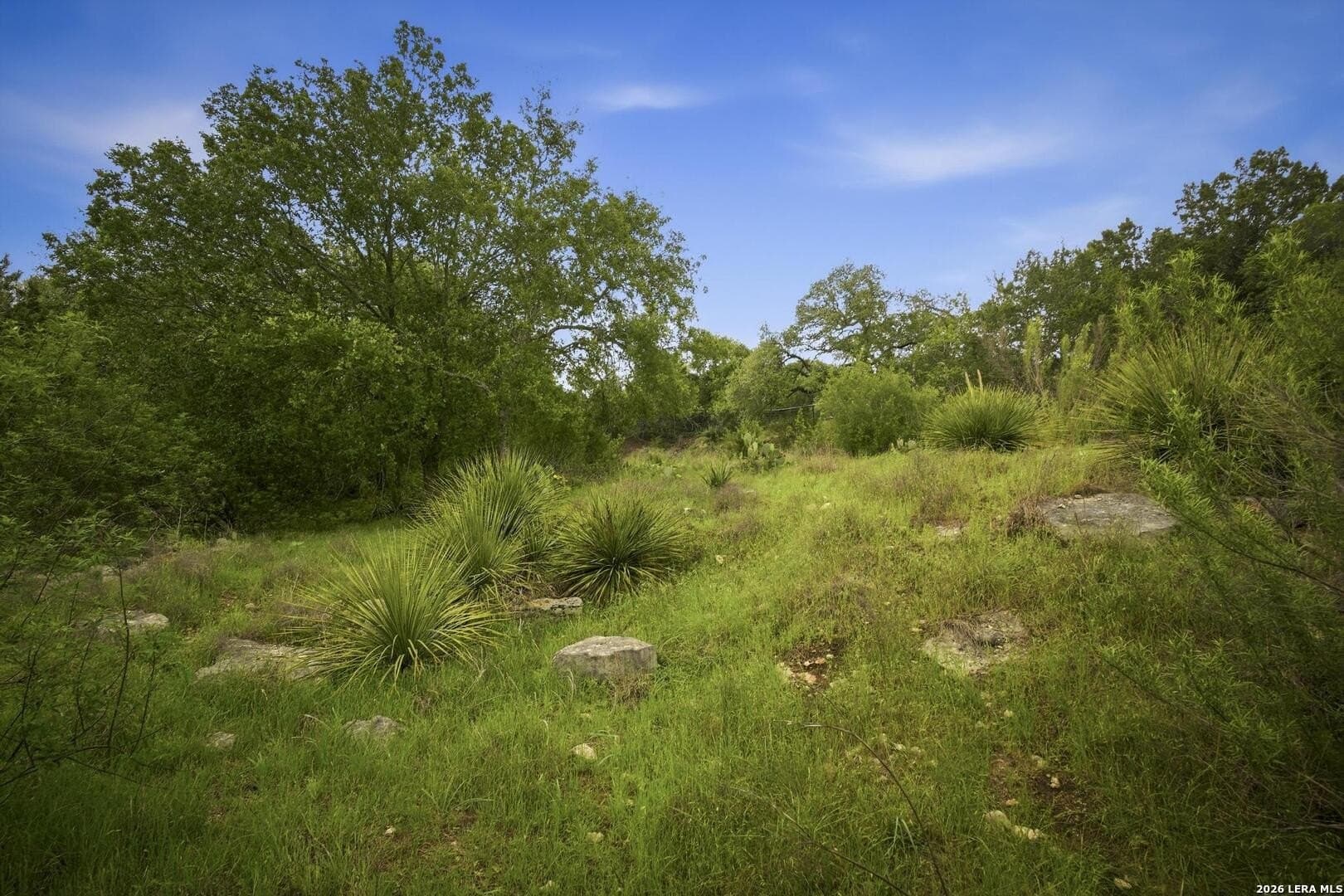 1.06 acres in Comal County - photo 22