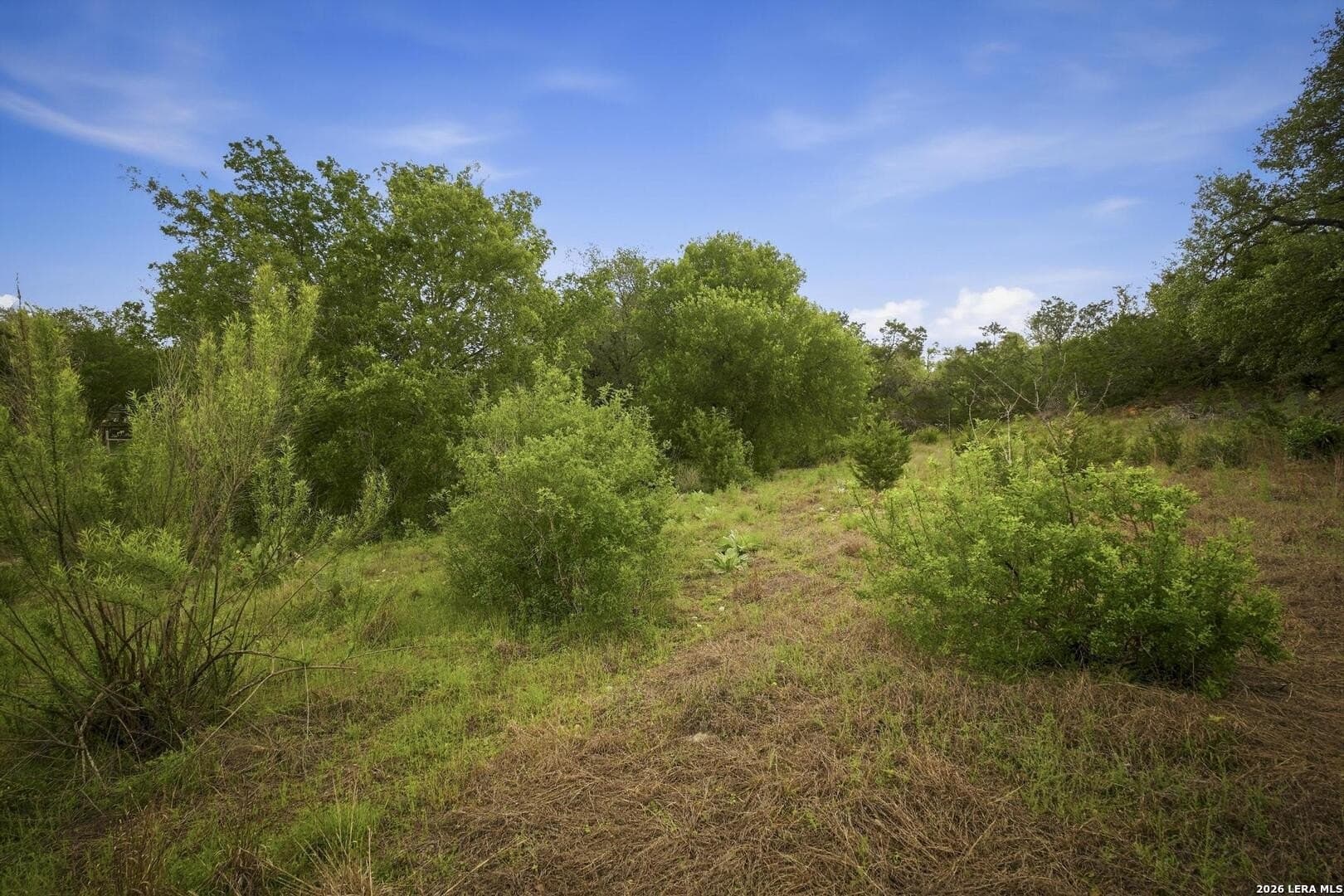 1.06 acres in Comal County - photo 27