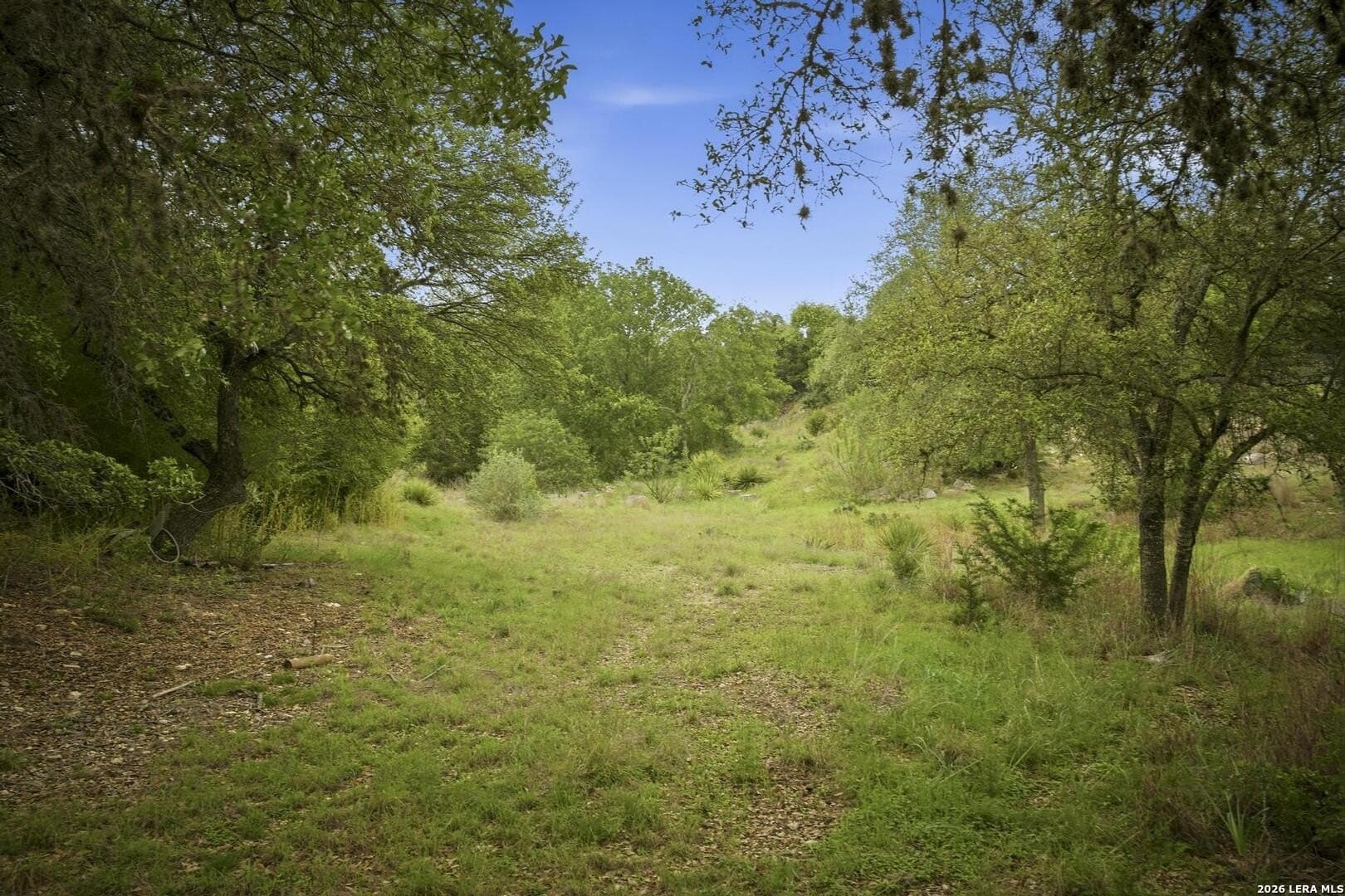 1.06 acres in Comal County - photo 16